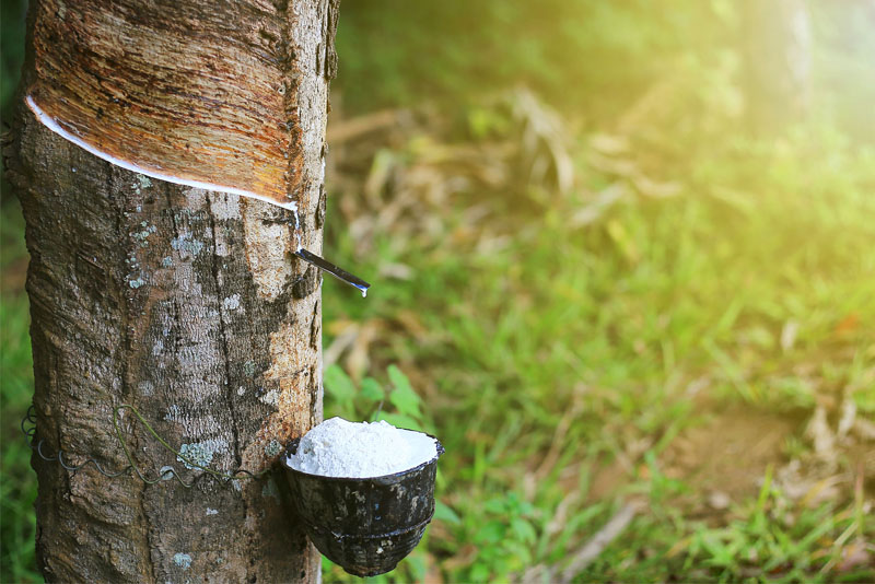 ChemicalsResins, Rubber